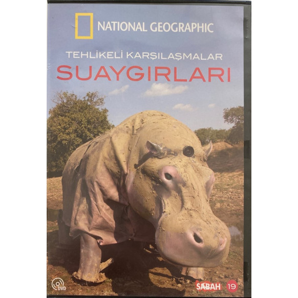 Su Aygırları - DVD Film