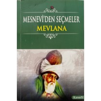 Mesneviden Seçmeler, Mevlana  Türdav Yayınları  22,90 TL - eskicievi.com'da