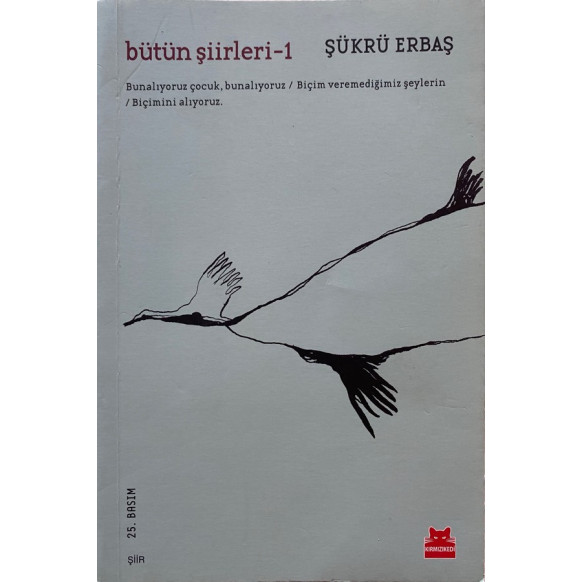 Bütün Şiirleri 1 - Küçük Acılar, Aykırı Yaşamak, Yolculuk, Kimliksiz Değişim - Şükrü Erbaş  Kırmızı Karınca Yayınları  55,00 ...