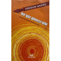 Bir Güz Güneşi Gibi, Yazınsal Tanıklıklar, Portreler, Kimlikler - Feridun Andaç  Dafne Kitap Yayınları  49,00 TL - eskicievi....