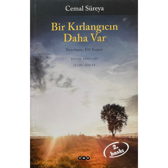 Bir Kırlangıcın Daha Var - Celam Süreya  Yapı Kredi Yayınları  47,90 TL - eskicievi.com'da