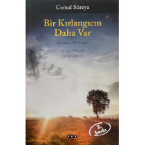 Bir Kırlangıcın Daha Var - Celam Süreya  Yapı Kredi Yayınları  47,90 TL - eskicievi.com'da