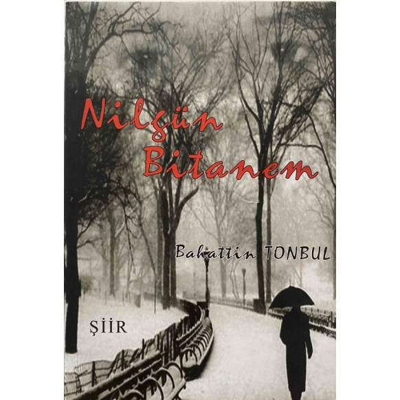 Nilgün Bitanem - Bahattin Tonbul  Yazarın Kendi Yayını  55,00 TL - eskicievi.com'da