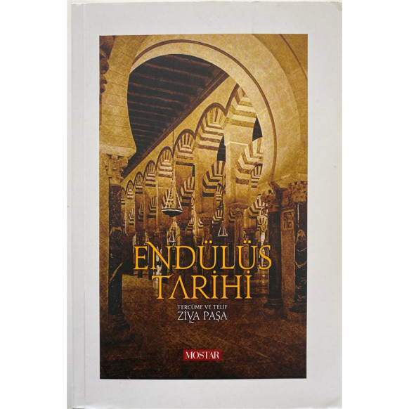 Endülüs Tarihi Tercüme ve Telif - Ziya PAŞA  Pozitif Yayınları  89,90 TL - eskicievi.com'da