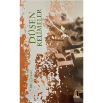Düşen Kelimeler - Sırrı ÇINAR  Akis Kitap Yayınları  31,40 TL - eskicievi.com'da