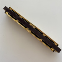 Golden Butterfly Mızıka