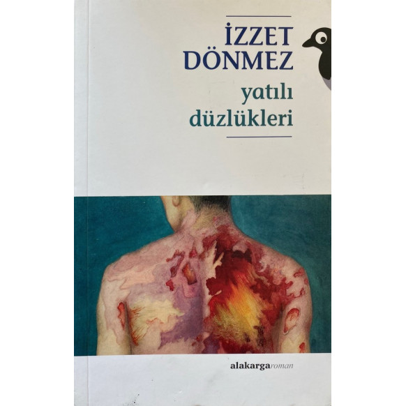 Yatılı Düzlükleri  Alakarga Sanat Yayınları  31,90 TL - eskicievi.com'da