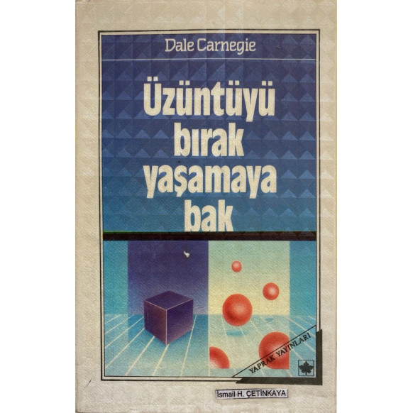 Üzüntüyü Bırak Yaşamaya Bak  Yaprak Yayınları  59,90 TL - eskicievi.com'da