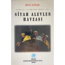 Siyah Alevler Havzası  Yazarın Kendi Yayını  25,90 TL - eskicievi.com'da